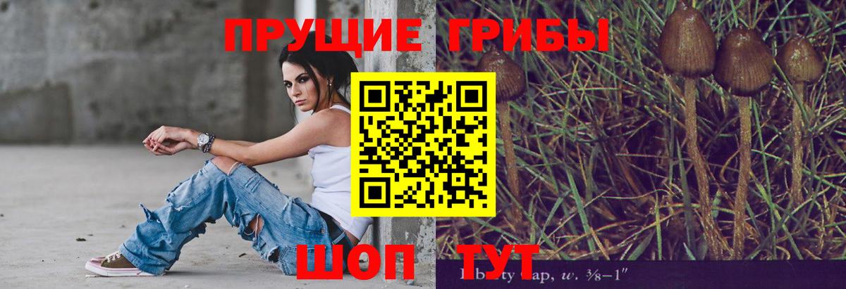 Псилоцибиновые грибы Cubensis Сургут