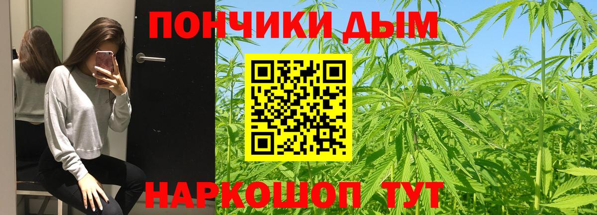 Бошки Шишки Amnesia  Каннабис план  Вход с VPN  Марихуана семена  Каннабис OG Kush  Сургут 